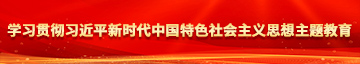 干屄学习贯彻习近平新时代中国特色社会主义思想主题教育